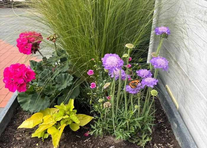 Camp Nord Resort- Komfortowe Centrum Mielno (Koszalin)